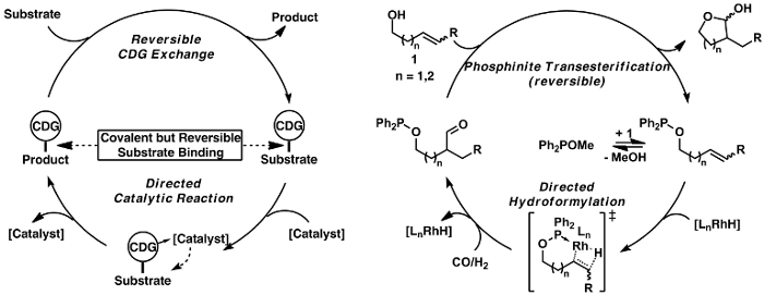 Scheme12ns.png