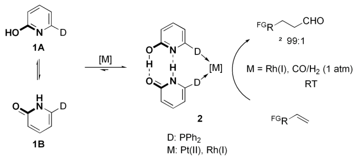 scheme13.png