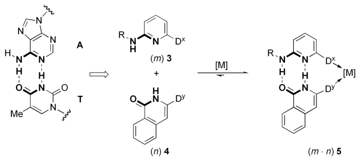 scheme14.png
