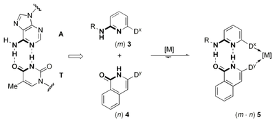 scheme14.png