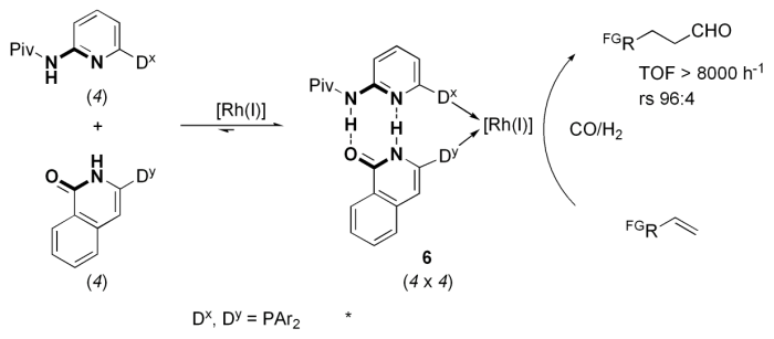 scheme15.png