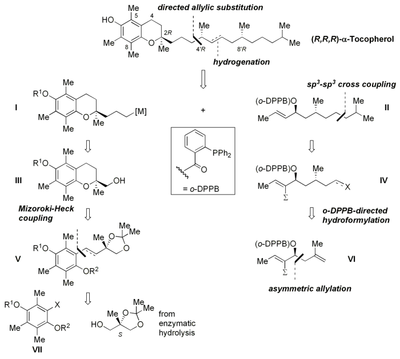 scheme4.png