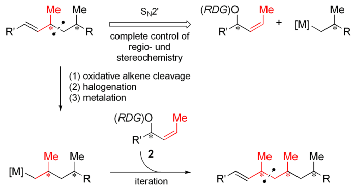 scheme5.png