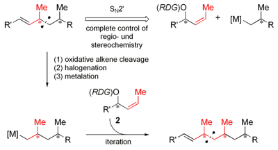 scheme5.png