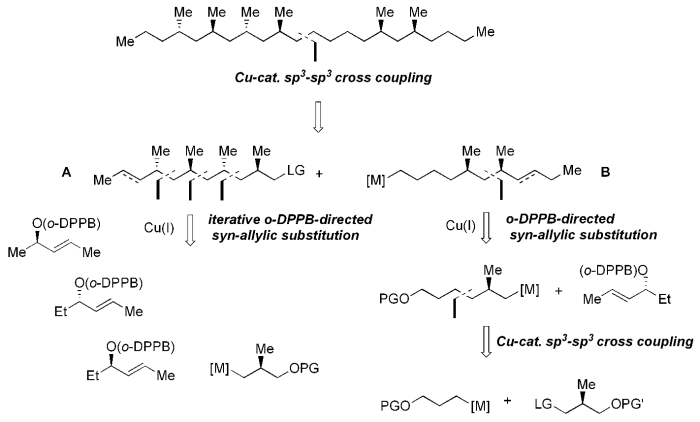 scheme6.png