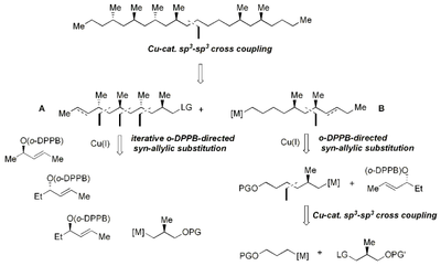 scheme6.png