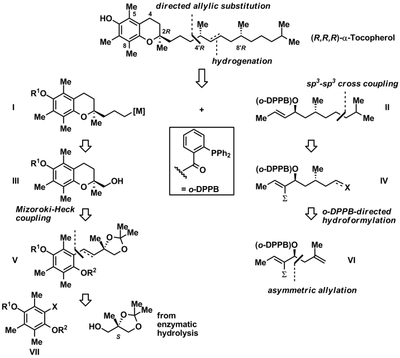 scheme4.png