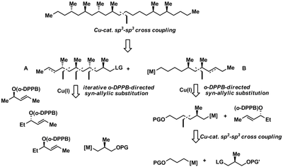 scheme6.png