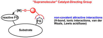 scheme8.png