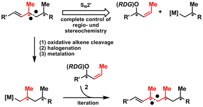 scheme5.png